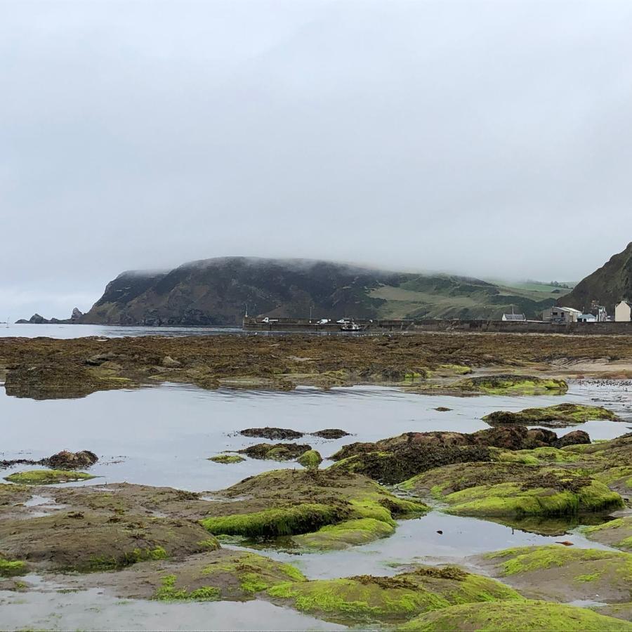 Puffins Nest Villa Gardenstown Buitenkant foto